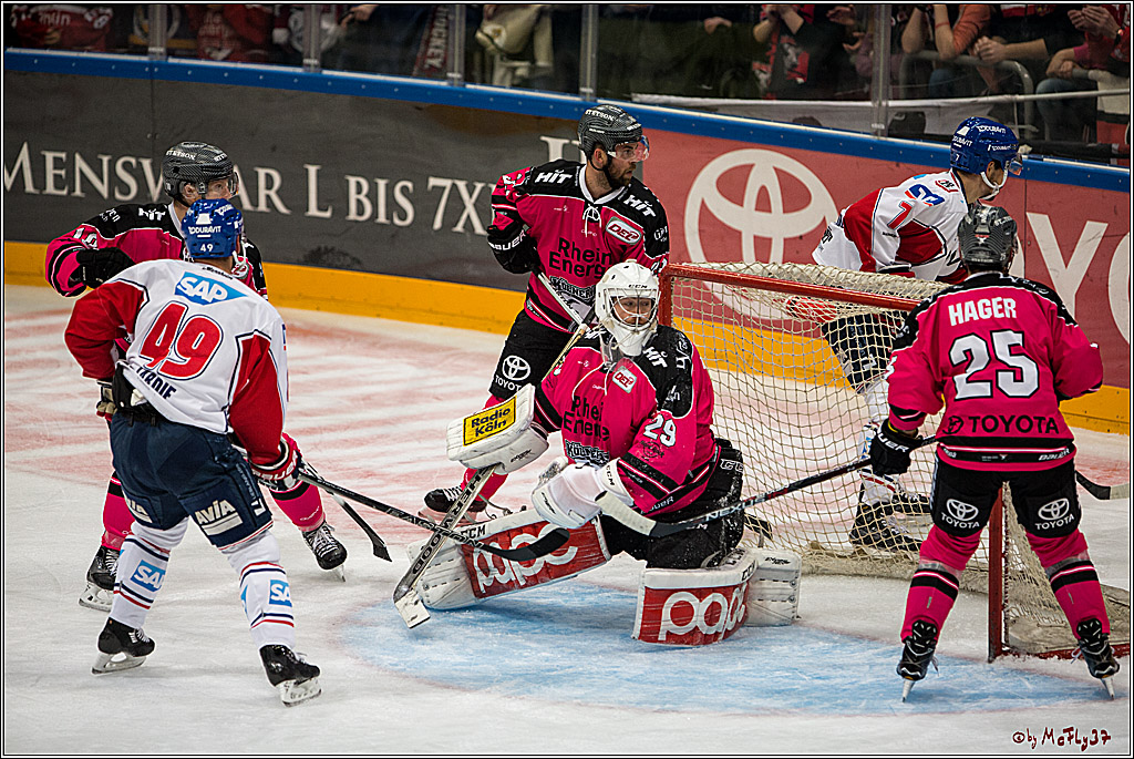Koelner Haie - Adler Mannheim, 30.10.2016
